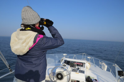 centre de la mer biarritz
