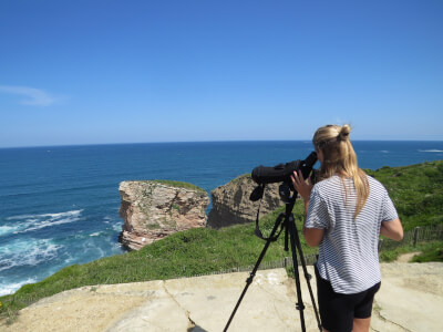 centre de la mer biarritz