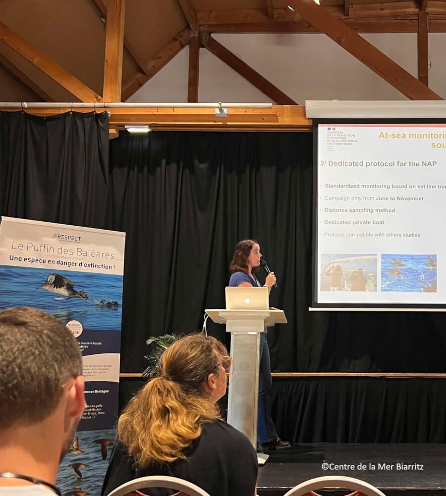 Séminaire PNA Puffin des Baléares