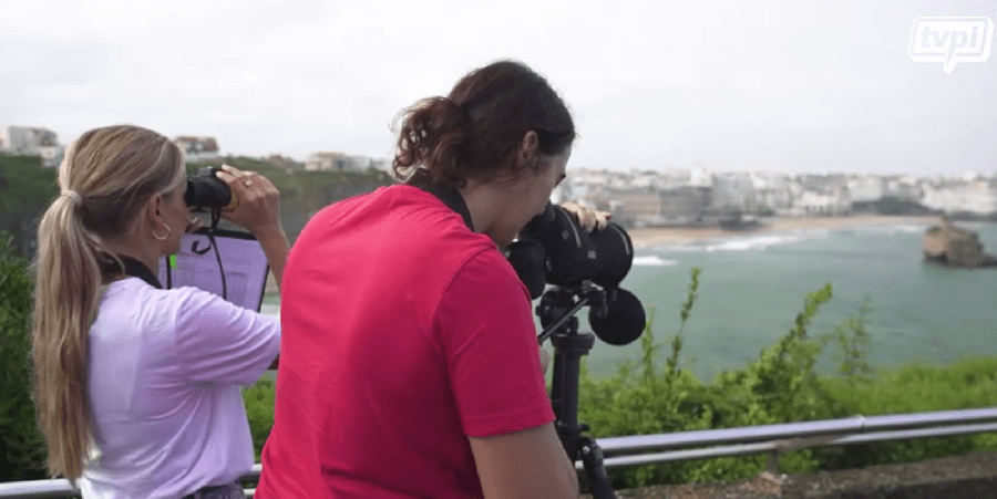 Suivis ornithologiques